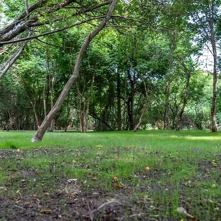 Apartmán Ecopark Tuzlata екопарк тузлата Balčik