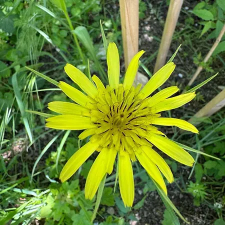 Ecopark Tuzlata екопарк тузлата Apartmán