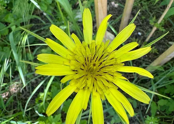 Ecopark Tuzlata екопарк тузлата Appartement