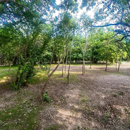 Ecopark Tuzlata екопарк тузлата Apartamento